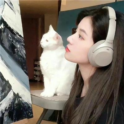 少数意见